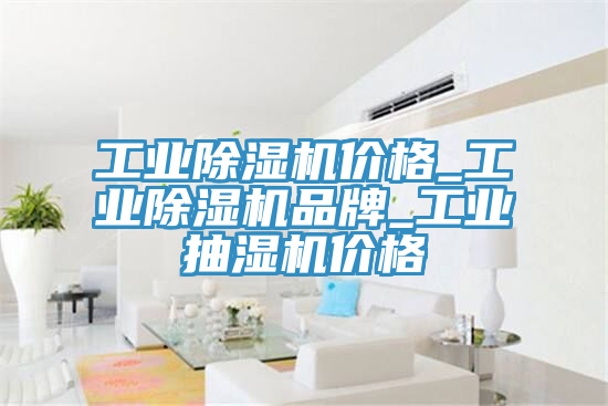 工業除濕機價格_工業除濕機品牌_工業抽濕機價格