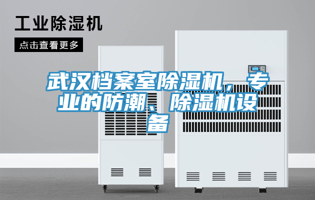 武漢檔案室除濕機，專業(yè)的防潮、除濕機設(shè)備