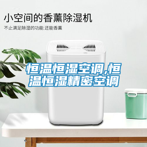 恒溫恒濕空調,恒溫恒濕精密空調