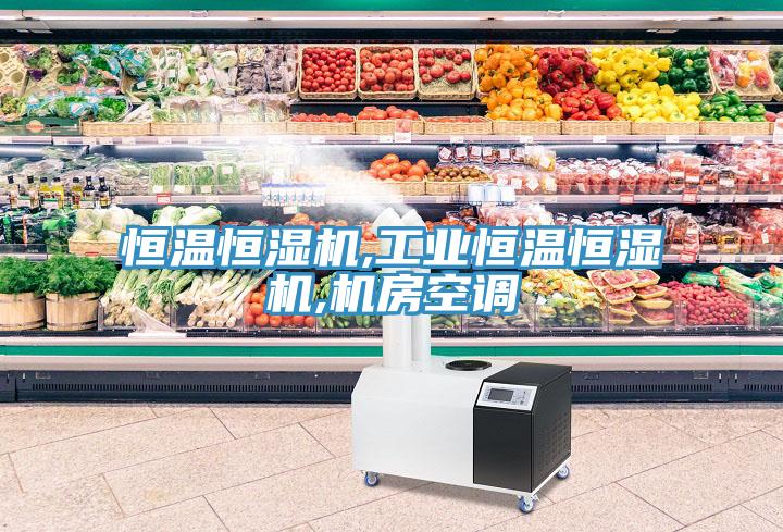 恒溫恒濕機,工業恒溫恒濕機,機房空調