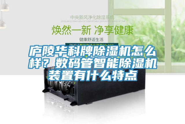 廬陵華科牌除濕機怎么樣？數碼管智能除濕機裝置有什么特點