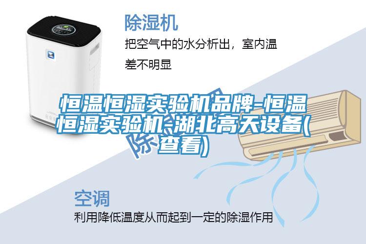 恒溫恒濕實驗機品牌-恒溫恒濕實驗機-湖北高天設備(查看)