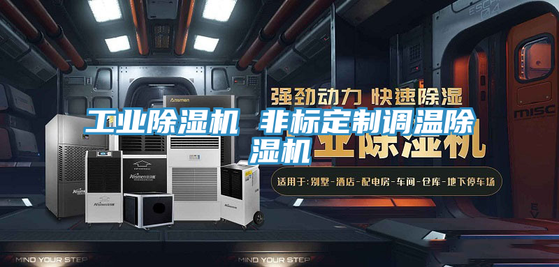 工業除濕機 非標定制調溫除濕機