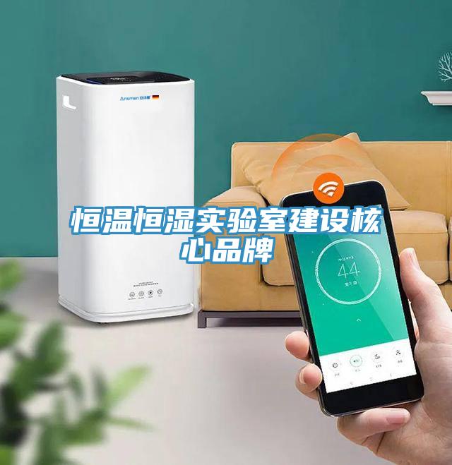 恒溫恒濕實驗室建設核心品牌