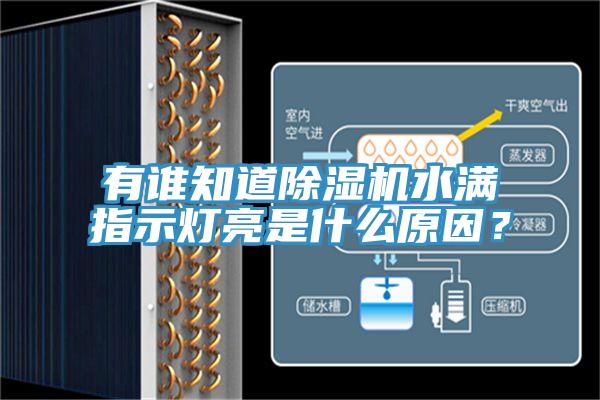 有誰(shuí)知道除濕機(jī)水滿指示燈亮是什么原因？