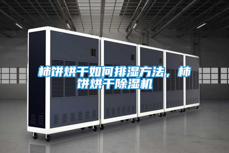 柿餅烘干如何排濕方法，柿餅烘干除濕機