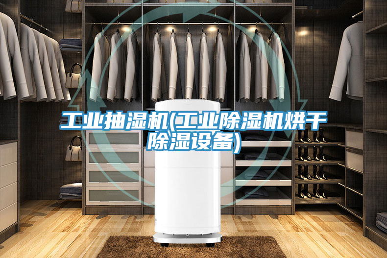 工業抽濕機(工業除濕機烘干除濕設備)