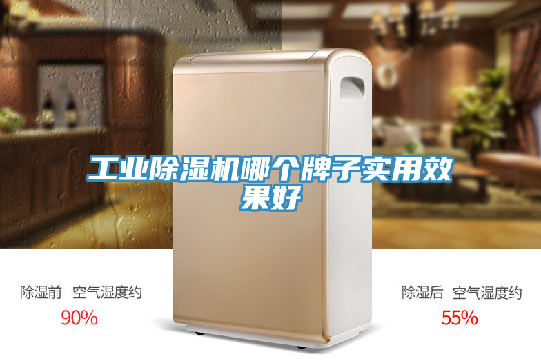 工業除濕機哪個牌子實用效果好