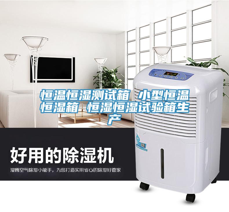 恒溫恒濕測試箱 小型恒溫恒濕箱 恒濕恒濕試驗箱生產