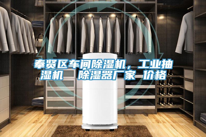 奉賢區(qū)車間除濕機，工業(yè)抽濕機  除濕器廠家 價格