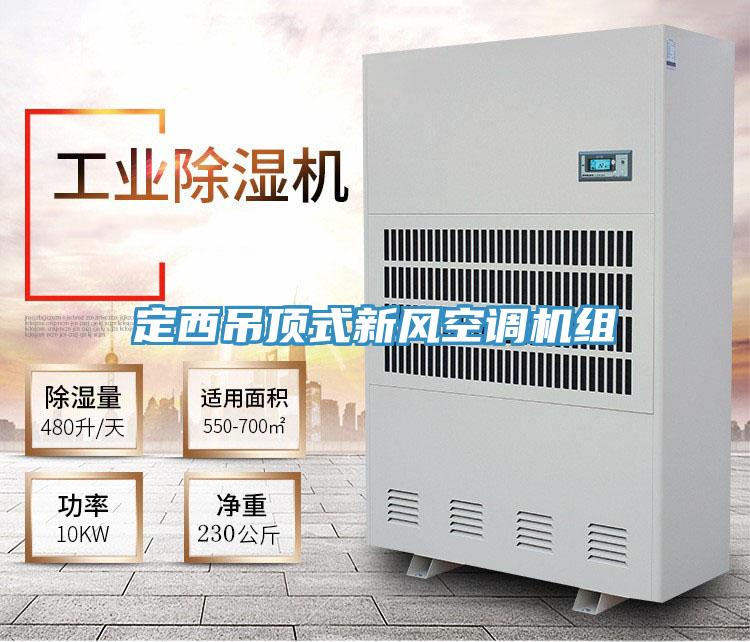 定西吊頂式新風空調機組