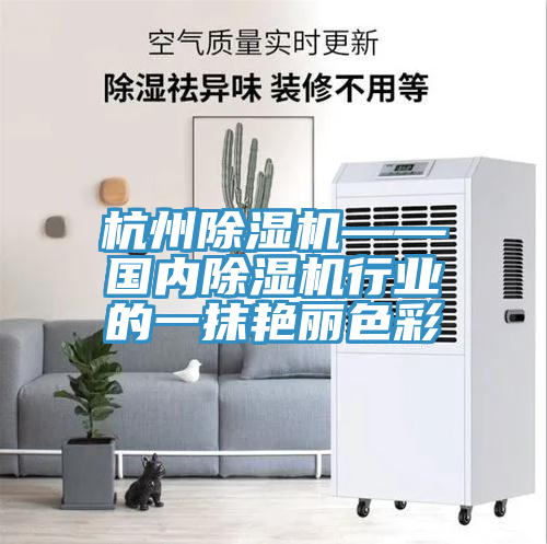 杭州除濕機——國內除濕機行業的一抹艷麗色彩