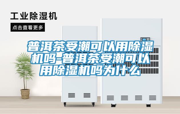 普洱茶受潮可以用除濕機嗎-普洱茶受潮可以用除濕機嗎為什么