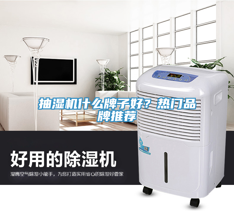 抽濕機什么牌子好？熱門品牌推薦