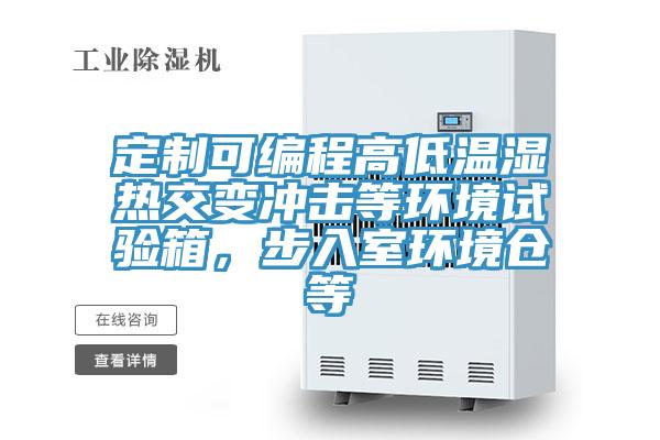 定制可編程高低溫濕熱交變沖擊等環境試驗箱，步入室環境倉等