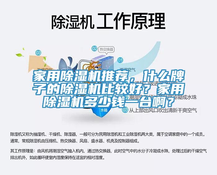 家用除濕機推薦，什么牌子的除濕機比較好？家用除濕機多少錢一臺??？