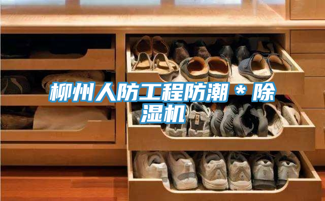 柳州人防工程防潮＊除濕機