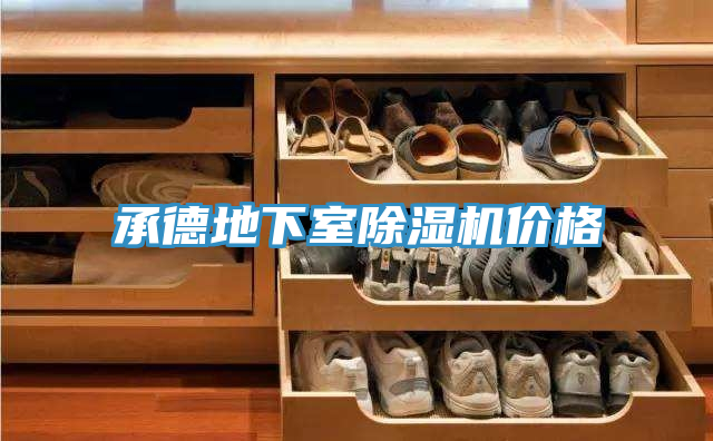 承德地下室除濕機(jī)價(jià)格