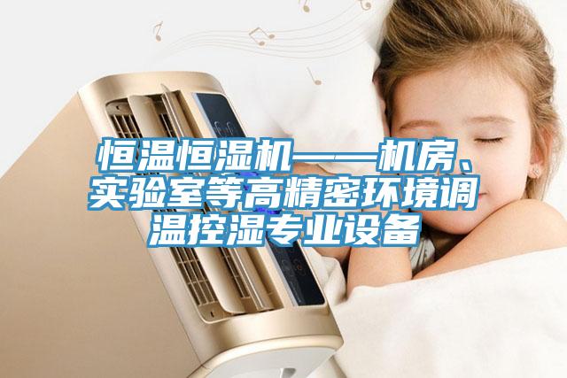恒溫恒濕機——機房、實驗室等高精密環境調溫控濕專業設備