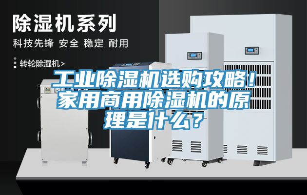 工業除濕機選購攻略！家用商用除濕機的原理是什么？