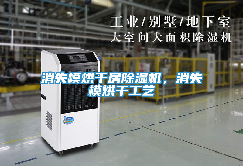 消失模烘干房除濕機(jī),消失模烘干工藝