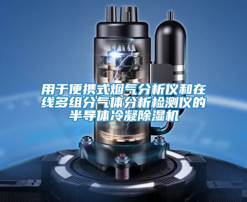 用于便攜式煙氣分析儀和在線多組分氣體分析檢測儀的半導體冷凝除濕機