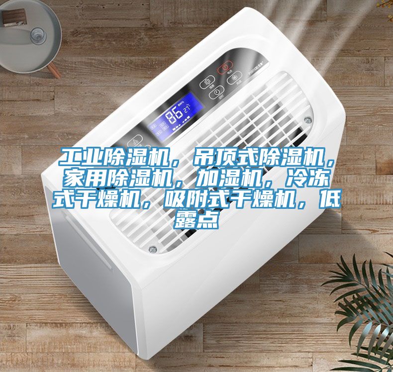 工業除濕機，吊頂式除濕機，家用除濕機，加濕機，冷凍式干燥機，吸附式干燥機，低露點