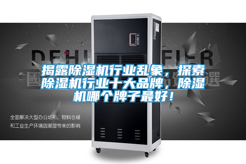 揭露除濕機行業亂象，探索除濕機行業十大品牌，除濕機哪個牌子最好！