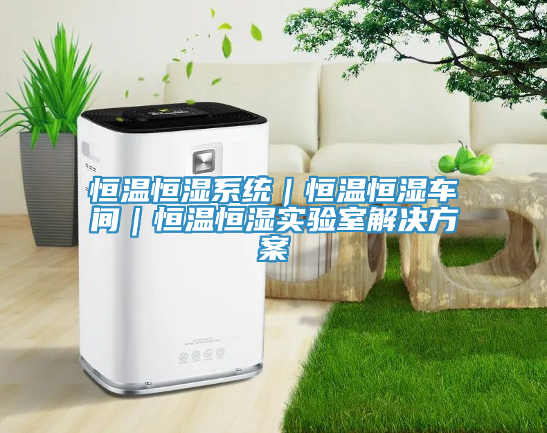 恒溫恒濕系統(tǒng)|恒溫恒濕車間|恒溫恒濕實驗室解決方案