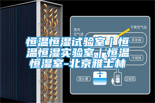 恒溫恒濕試驗室|恒溫恒濕實驗室|恒溫恒濕室-北京雅士林