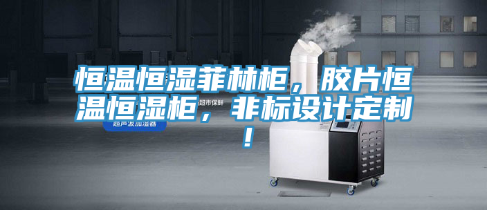 恒溫恒濕菲林柜,膠片恒溫恒濕柜,非標設計定制!