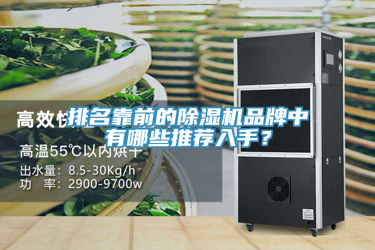 排名靠前的除濕機品牌中有哪些推薦入手？