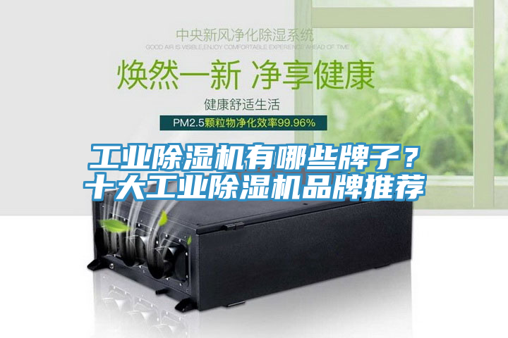 工業(yè)除濕機有哪些牌子？十大工業(yè)除濕機品牌推薦