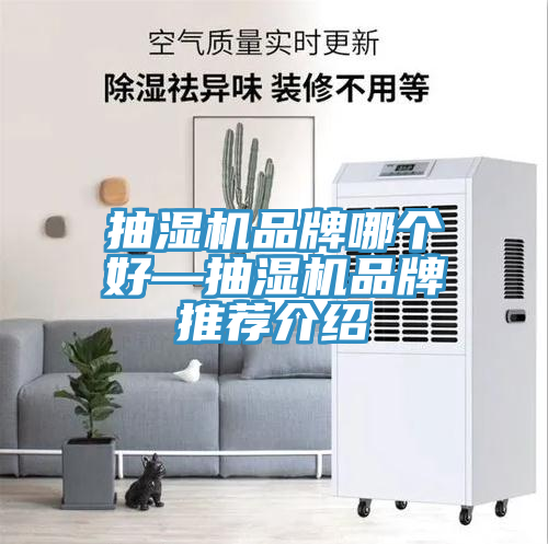 抽濕機品牌哪個好—抽濕機品牌推薦介紹