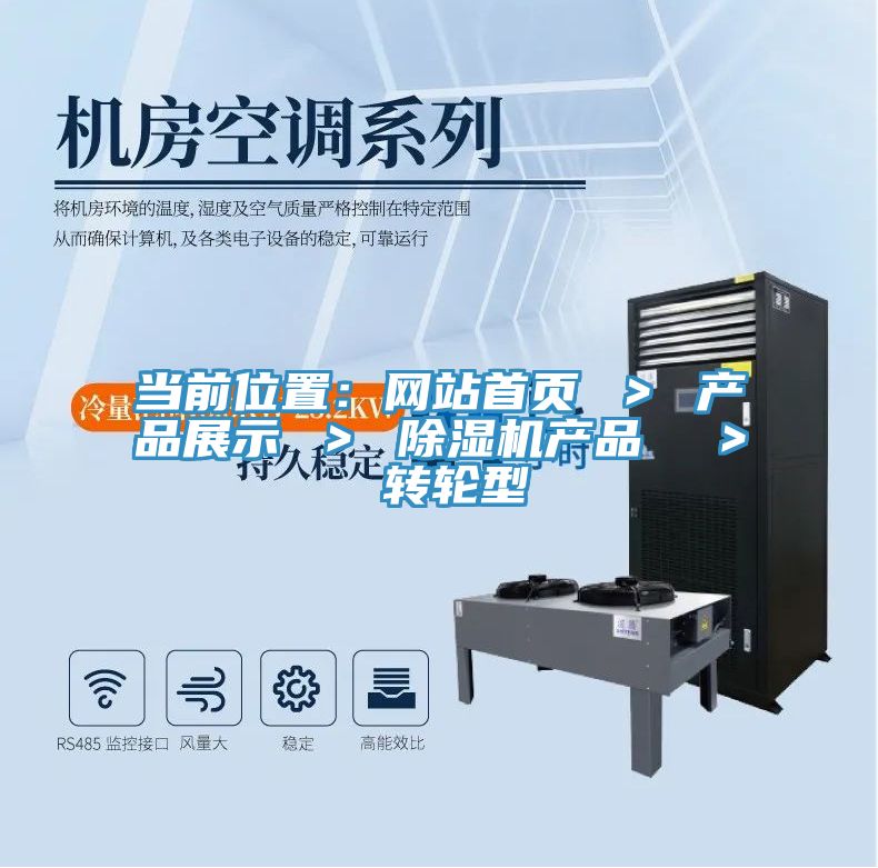 當(dāng)前位置：網(wǎng)站首頁 ＞ 產(chǎn)品展示 ＞ 除濕機(jī)產(chǎn)品  ＞ 轉(zhuǎn)輪型