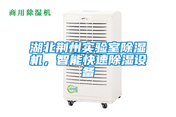 湖北荊州實驗室除濕機，智能快速除濕設備