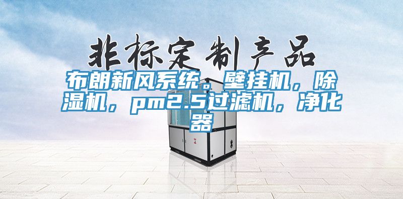 布朗新風系統。壁掛機，除濕機，pm2.5過濾機，凈化器