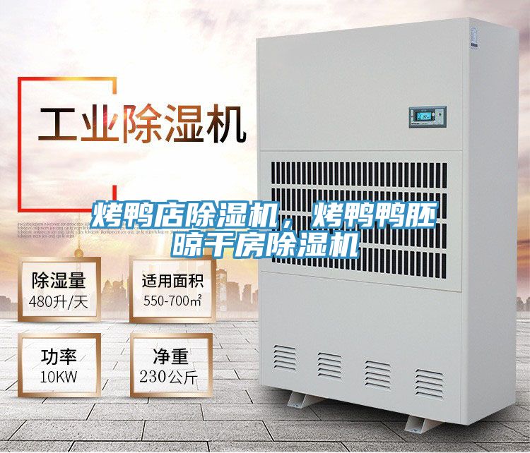 烤鴨店除濕機(jī)，烤鴨鴨胚晾干房除濕機(jī)