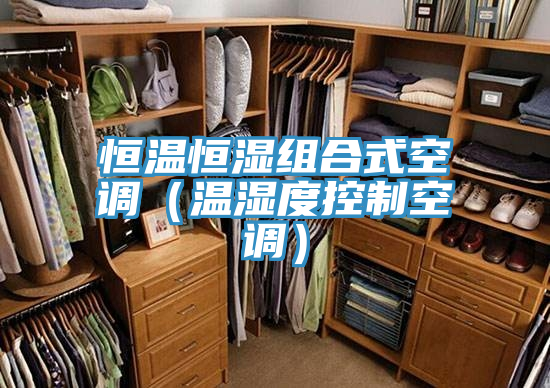 恒溫恒濕組合式空調(diào)(溫濕度控制空調(diào))