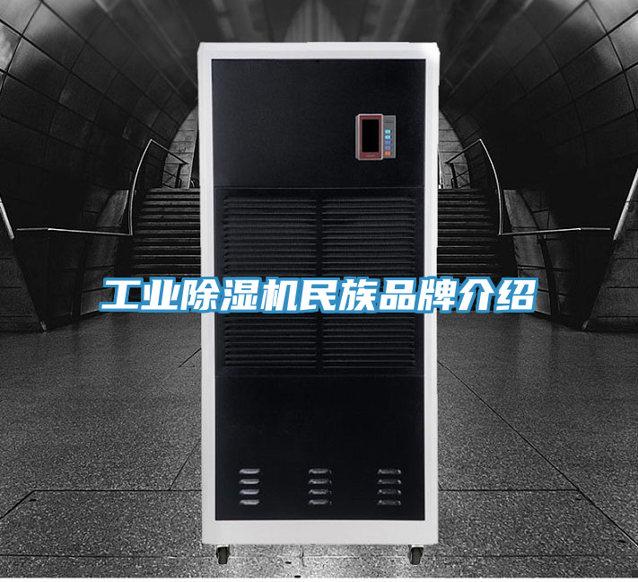 工業(yè)除濕機民族品牌介紹