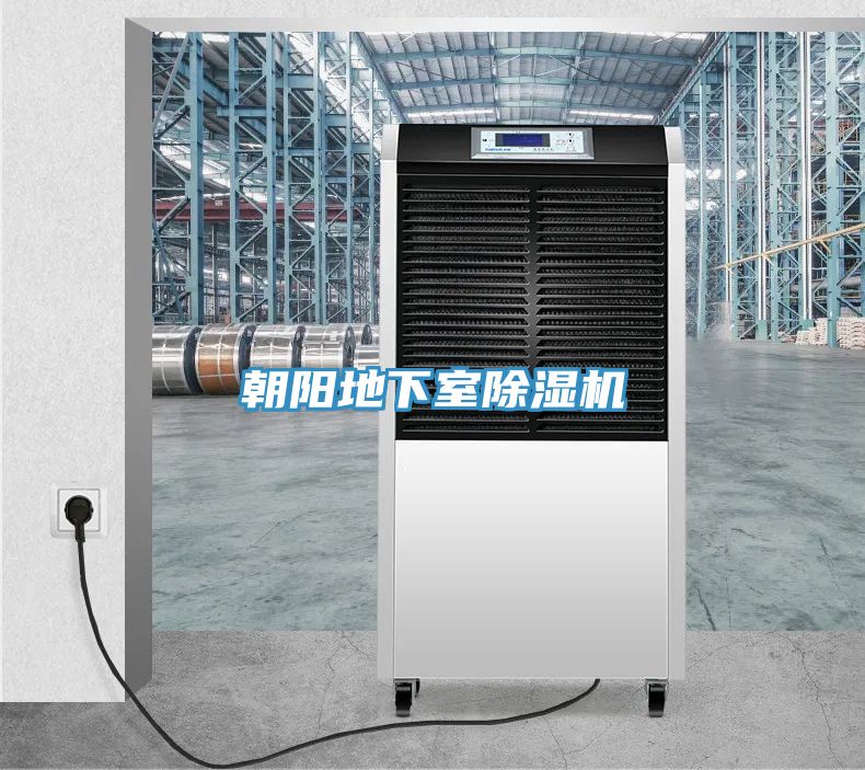 朝陽地下室除濕機