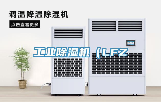 工業除濕機（LFZ