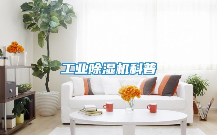 工業(yè)除濕機(jī)科普