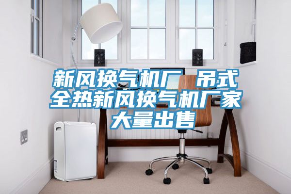 新風(fēng)換氣機廠 吊式全熱新風(fēng)換氣機廠家 大量出售