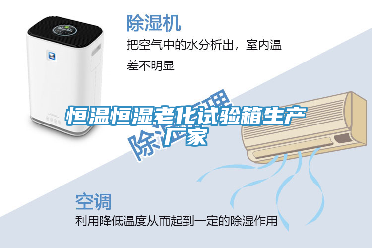 恒溫恒濕老化試驗箱生產(chǎn)廠家