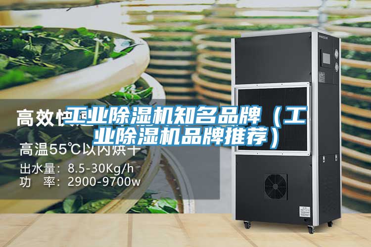 工業(yè)除濕機(jī)知名品牌（工業(yè)除濕機(jī)品牌推薦）