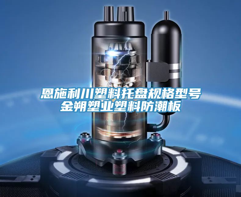 恩施利川塑料托盤規(guī)格型號(hào)金朔塑業(yè)塑料防潮板