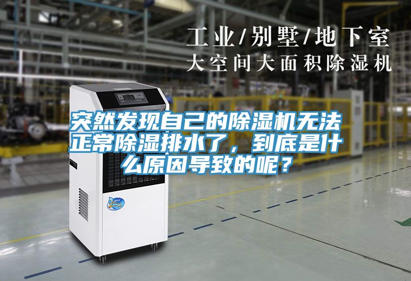 突然發(fā)現(xiàn)自己的除濕機無法正常除濕排水了，到底是什么原因?qū)е碌哪兀?></div>
								<div   id=