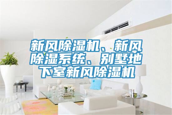 新風除濕機、新風除濕系統、別墅地下室新風除濕機