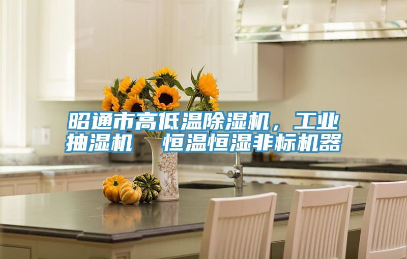 昭通市高低溫除濕機，工業抽濕機  恒溫恒濕非標機器